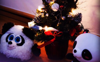 CHRISTMAS SHOWING 2025 – KIDS & JUNIORS