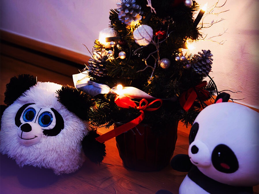 CHRISTMAS SHOWING 2025 – KIDS & JUNIORS