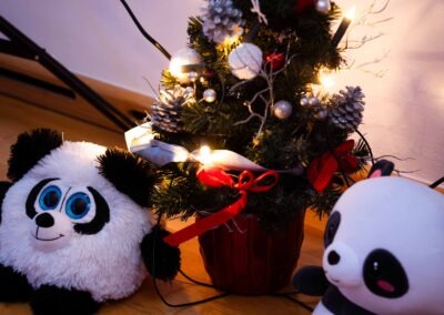 SYND-ChristmasShowKids-2025-Web-1